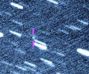  COMET P/2020 V4 (Rankin)