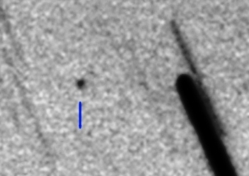 C/2025 X1 (PANSTARRS)