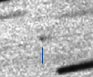 C/2025 X1 (PANSTARRS)