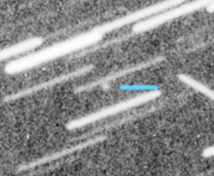 P/2026 B1 (PANSTARRS)