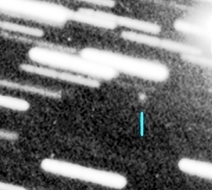 C/2026 J1 (PANSTARRS)